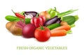 Vegetables collection 3d. Organic vegan healthy food nutrition vector realistic pictures Royalty Free Stock Photo