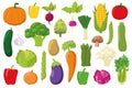 Set of 26 different vegetables in cartoon style Vector illustration Royalty Free Stock Photo