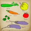 Vegetables colored hand drawn ink sketch on vintage background. Set of various organic vegetables. Sketches of different