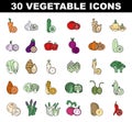 Vegetables colored icons set. Simple line symbol of fresh veggies