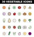 Vegetables colored icons set. Simple line symbol of fresh veggies