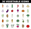 Vegetables colored icons set. Simple line symbol of fresh veggies