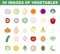 Vegetables colored images set. Bright detailed illustration of fresh