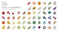 Vegetables colored outline iconset