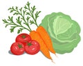 Vegetables composition