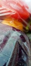 Vegetables conserved in cellophane bags for food.