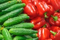 Vegetables on the counter in the supermarket Royalty Free Stock Photo