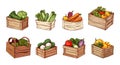 Vegetables in different rustic boxes and baskets. Wooden box for veggie, agriculture market elements. Cartoon sketch Royalty Free Stock Photo