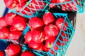 Vegetables on display at Farmer`s Market in summertime Royalty Free Stock Photo