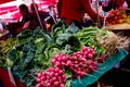 Vegetables at Dolac market Zagreb city centre.