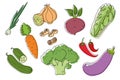 Vegetables doodle drawing set collection. vegetable such as carrot, ginger, cucumber, cabbage, etc. Hand drawn doodle