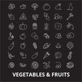 Vegetables editable line icons vector set on black background. Vegetables white outline illustrations, signs, symbols Royalty Free Stock Photo