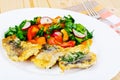 Vegetables with Fish Fillet, Breaded Royalty Free Stock Photo