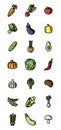 Vegetables flat colorful icons. Set of vector icons for web