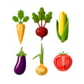 Vegetables flat icons isolated on white background. Carrot, beetroot or beet, corn, onion and tomate and eggplant. Flat Royalty Free Stock Photo