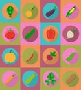 Vegetables flat icons with the shadow vector illustration