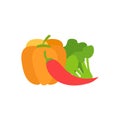 Vegetables Flat Illustration Royalty Free Stock Photo