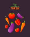 Vegetables fresh vector