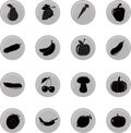 Vegetables froot icon set, vector