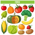 Vegetables and fruits fiber foods group