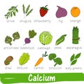 Vegetables and fruits with a high content of Calcium. Hand drawn vitamin set Royalty Free Stock Photo