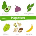 Vegetables and fruits with a high content of magnesium. Hand drawn vector vitamin set Royalty Free Stock Photo