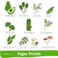 Vegetables and fruits with a high content of Vegan Protein. Hand drawn vitamin set Royalty Free Stock Photo