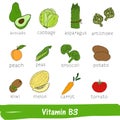 Vegetables and fruits with a high content of Vitamin B3. Hand drawn vitamin set Royalty Free Stock Photo