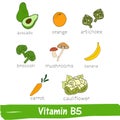 Vegetables and fruits with a high content of Vitamin B5. Hand drawn vitamin set Royalty Free Stock Photo