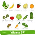 Vegetables and fruits with a high content of vitamin B9. Hand drawn vector vitamin set Royalty Free Stock Photo