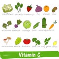 Vegetables and fruits with a high content of Vitamin C. Hand drawn vitamin set Royalty Free Stock Photo