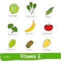 Vegetables and fruits with a high content of Vitamin E. Hand drawn vitamin set Royalty Free Stock Photo