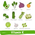 Vegetables and fruits with a high content of Vitamin K. Hand drawn vitamin set Royalty Free Stock Photo