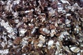 Crushed coconut shell for manufacture of pinibricket