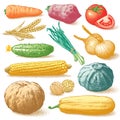 Vegetables, Fruits And Plants Colour Vector