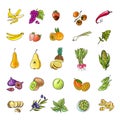 Vegetables and fruits Royalty Free Stock Photo