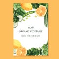 Vegetables and Fruits watercolor poster,Organic menu idea farm, healthy organic design, aquarelle vector