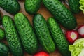 Vegetables from the garden. Cucumbers, radishes, tomatoes and cabbage. Veganism and raw food diet, healthy vegetables for spring