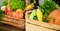 Vegetables from garden or farm close up. Homegrown vegetables. Fresh organic vegetables in wicker basket and wooden box Royalty Free Stock Photo