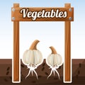 Vegetables garlic growth fresh image