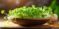 vegetables green fresh young sunflower sprouts on bowl for cooked food healthy 4