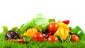 Vegetables on green gras on isolated white background vegetarian food healthy nutrition