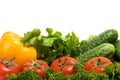 Vegetables and green verdure isolated on white