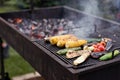 Vegetables on grill barbecue outdoors Royalty Free Stock Photo