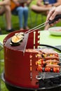 Vegetables on grill Royalty Free Stock Photo