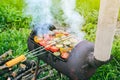 Vegetables on grill outdoors. Vegan barbecue on fire in summer. Good time. Cooking food in the nature. Healthy lifestyle Royalty Free Stock Photo