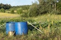 Vegetables growing in permaculture garden, traditional countryside landscape Royalty Free Stock Photo