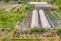 Vegetables Growing In Raised Beds In Vegetable Garden Royalty Free Stock Photo