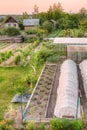 Vegetables Growing In Raised Beds In Vegetable Garden Royalty Free Stock Photo