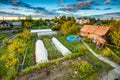 Vegetables Growing In Raised Beds In Vegetable Garden Royalty Free Stock Photo